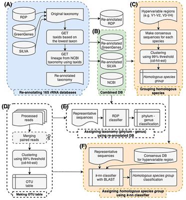 Data-Driven Modeling for Species-Level Taxonomic Assignment From 16S rRNA: Application to Human Microbiomes